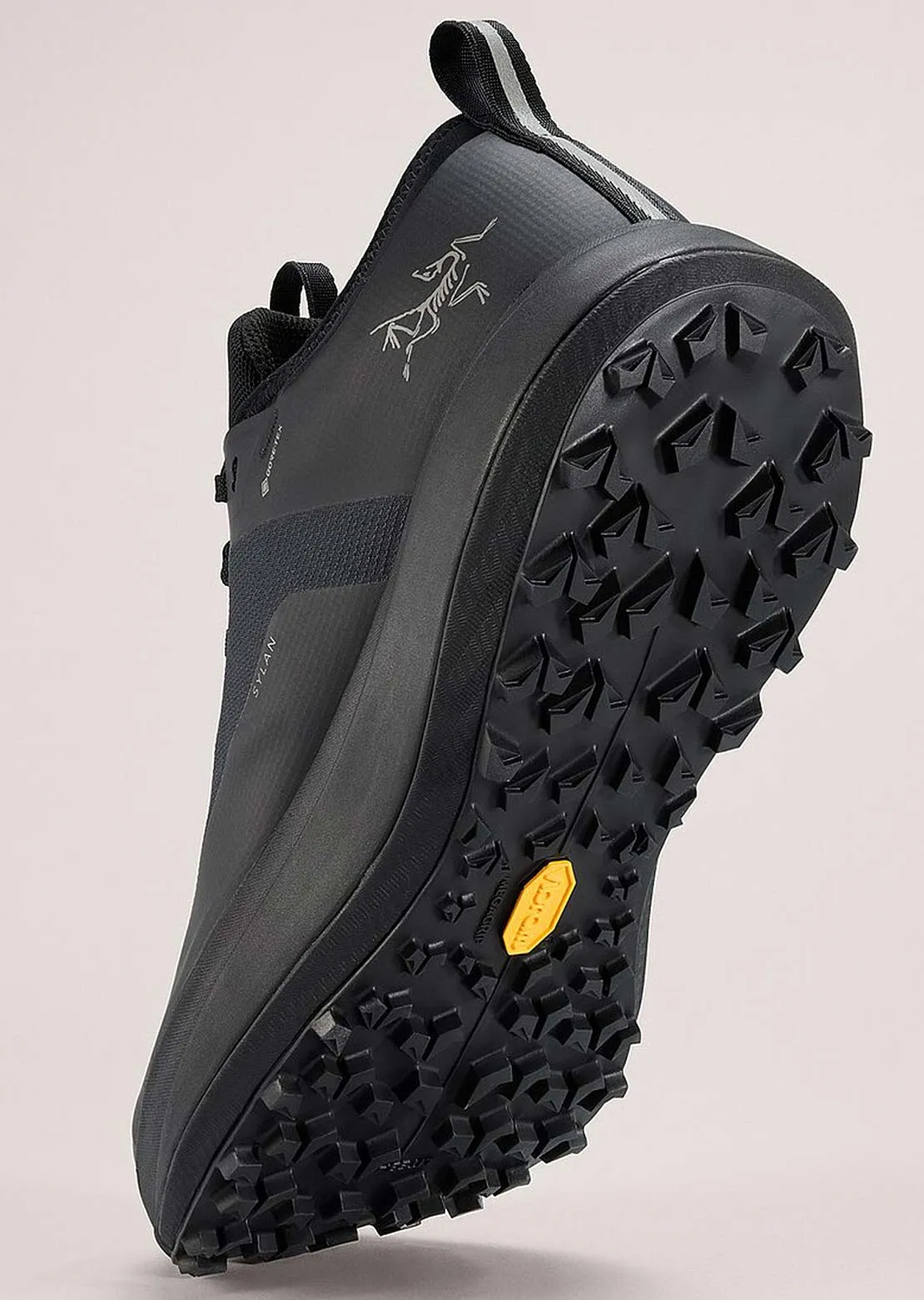 Arc'teryx Men's Sylan GORE-TEX Shoes