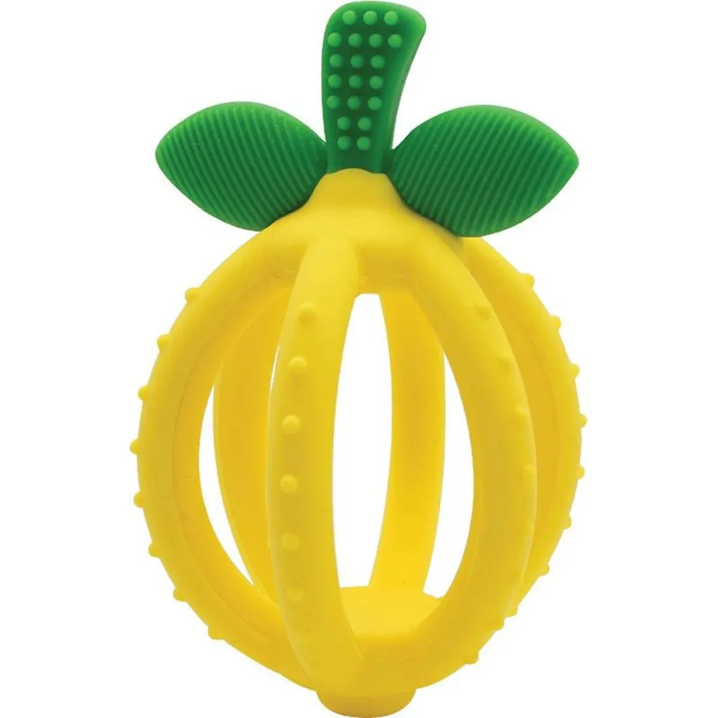 Bitzy Biter Teething Ball & Training Toothbrush