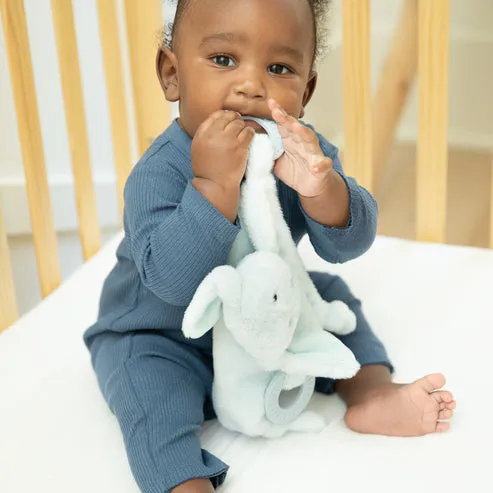 GIVE BACK TEETHER BUDDY