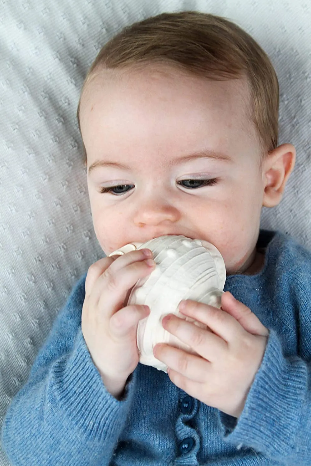 Natural Rubber Toys - Shell the Teether, F/Moulded