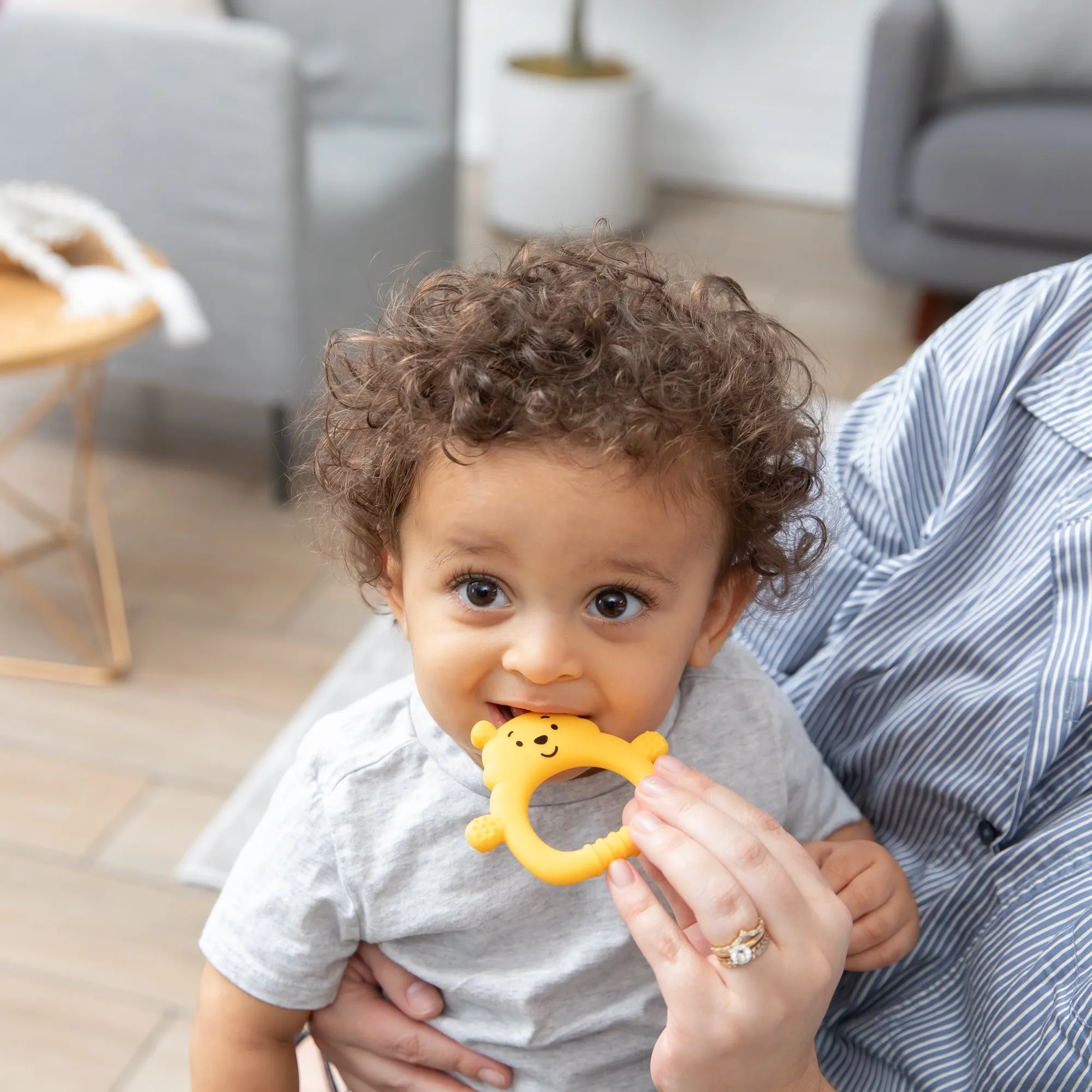 Silicone Flat Teether: Winnie the Pooh