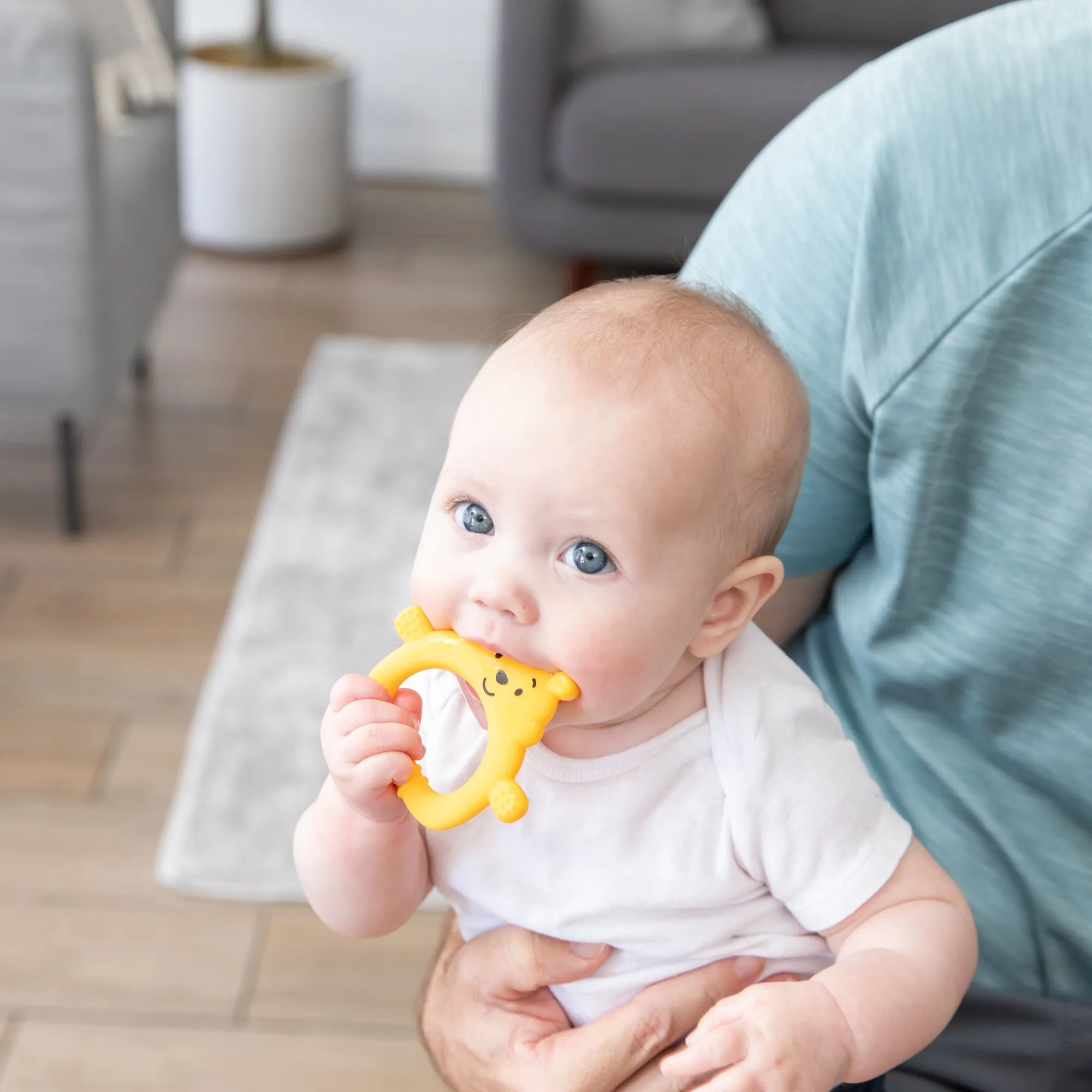 Silicone Flat Teether: Winnie the Pooh