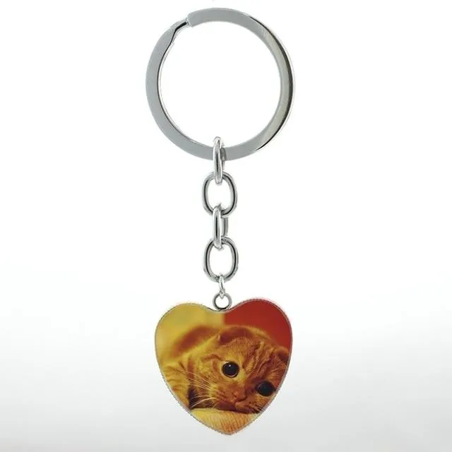 Unisex Cute White Scottish Burmese Tabby Cat Animal Fold Keychain Jewelry